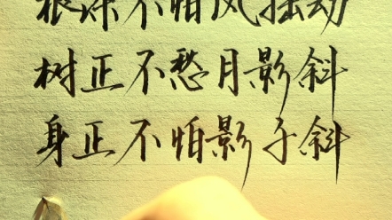 身正不怕影子斜,脚正不怕鞋子歪.#手写 #人生感悟 #智慧人生