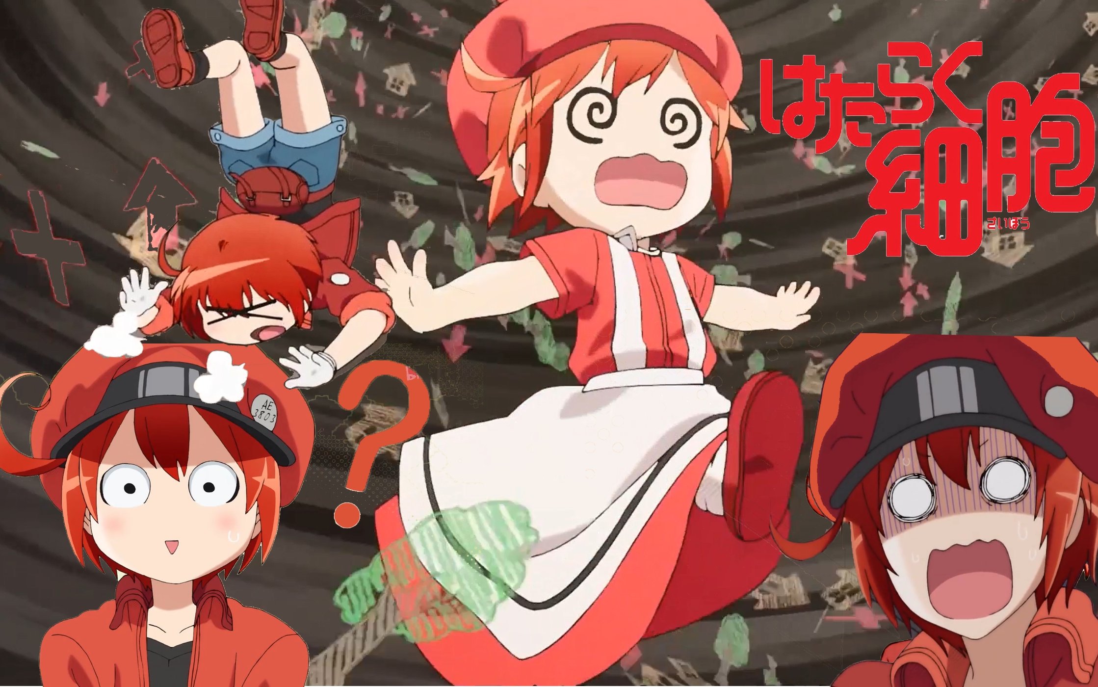 工作细胞迷路循环feat红细胞ae3803