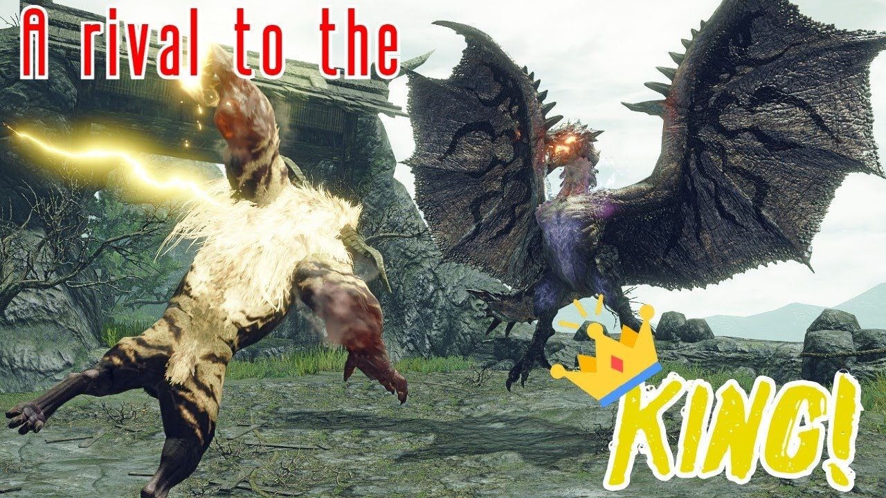 mh曙光:银火龙vs金狮子