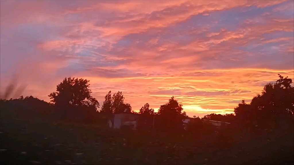 欣赏日常美景78