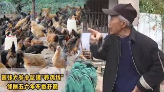 嚣张大爷小区建“养鸡场”，邻居苦不堪言：五六年不敢开窗户！