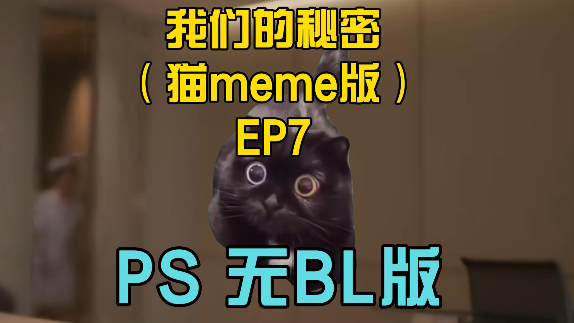 【lingorm】我们的秘密(猫meme版)EP7哔哩哔哩bilibili