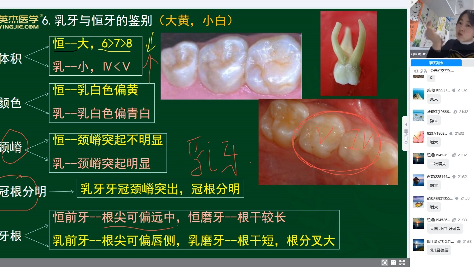 口解(二)第一单元牙体解剖【牙体外形及生理意义(2),髓腔形态及应用