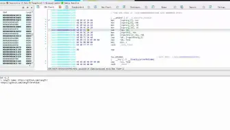 ida_pro_plugin汇编逆向分析功能强大经典插件XrefsExt自动堆栈变量分析方便快捷5演示v1.3
