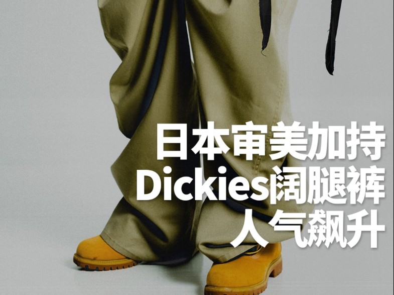 【潮流警报】Dickies Baggy裤,日本设计师的街头革新,潮流不设限!哔哩哔哩bilibili