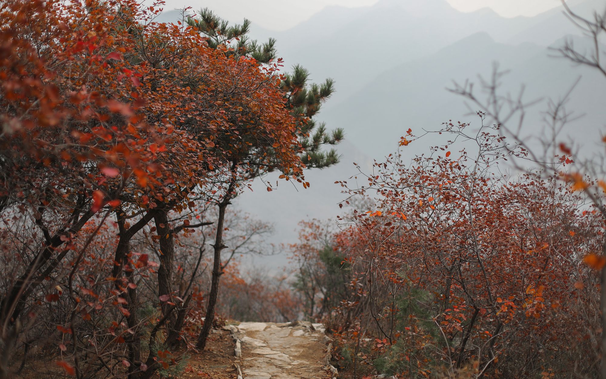 「风景小片」乐享山水,北京房山涞沥水药王谷穿越哔哩哔哩bilibili