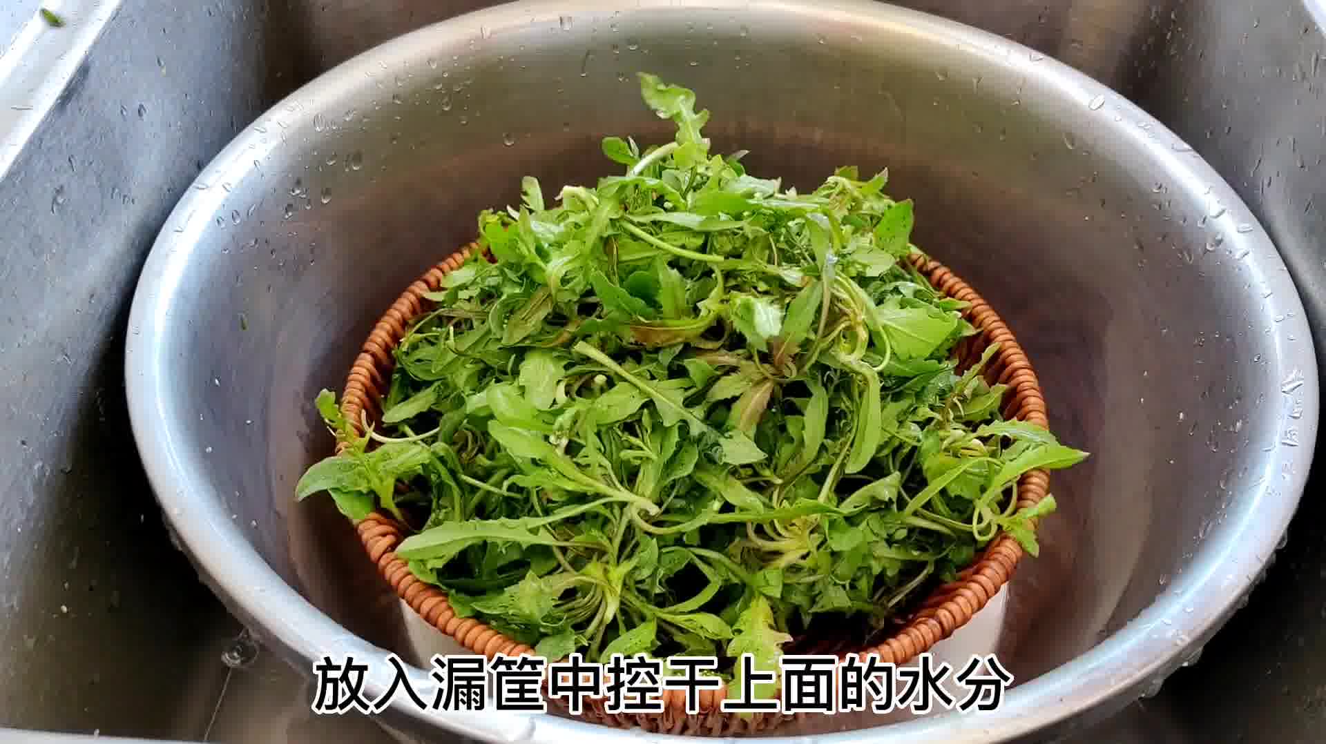 三月是挖野菜的好时节.俗话说:阳春三月三,荠菜当灵丹.哔哩哔哩bilibili