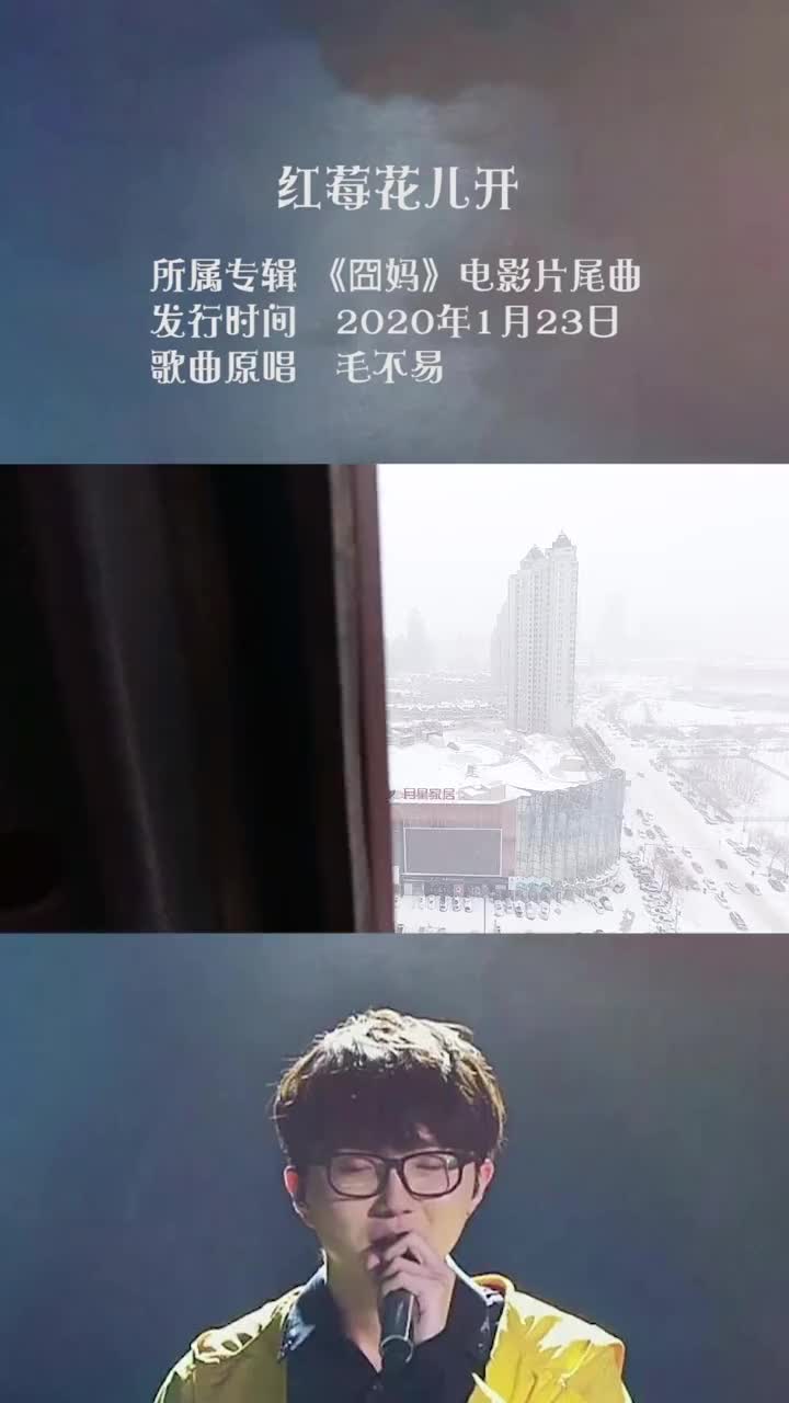 车窗户都关了没东北请全抖音看暴雪哈尔滨下雪上热门抖音小助手哔哩哔哩bilibili