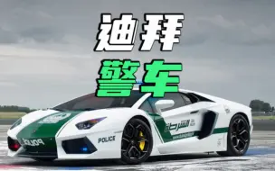 Tải video: 世界豪车千千万，迪拜警车占一半！