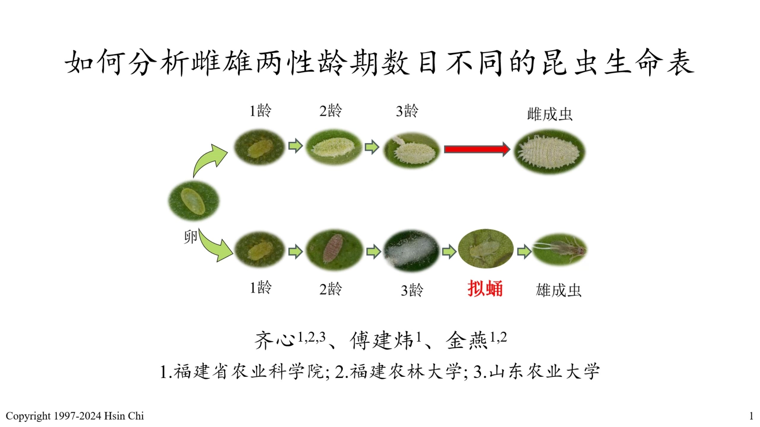 如何分析雌雄两性龄期数目不同的昆虫生命表?哔哩哔哩bilibili