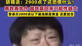 胡锡进：2900点了还恐惧什么