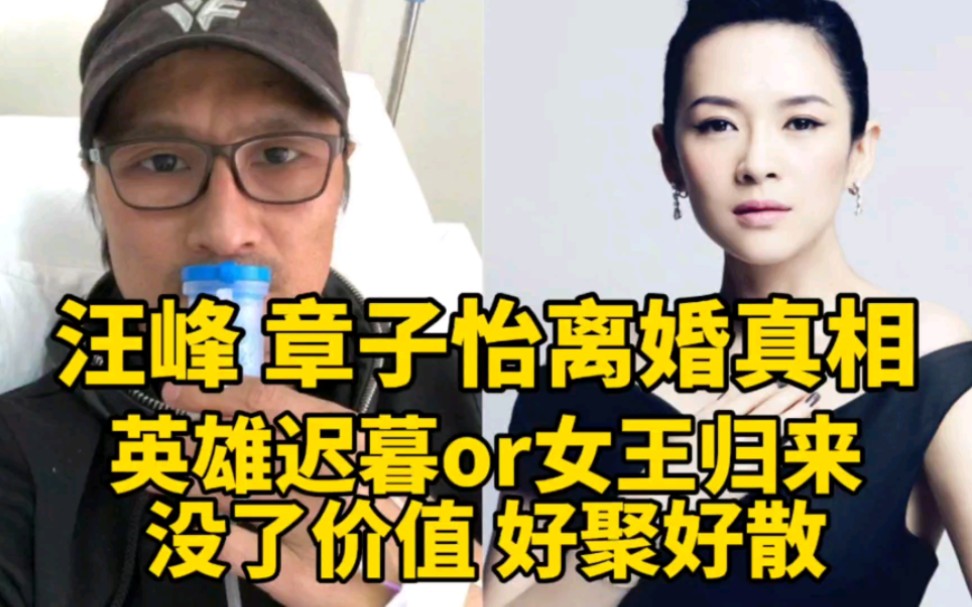 汪峰章子怡官宣离婚!英雄迟暮对比女王归来,才是离婚的根本原因哔哩哔哩bilibili