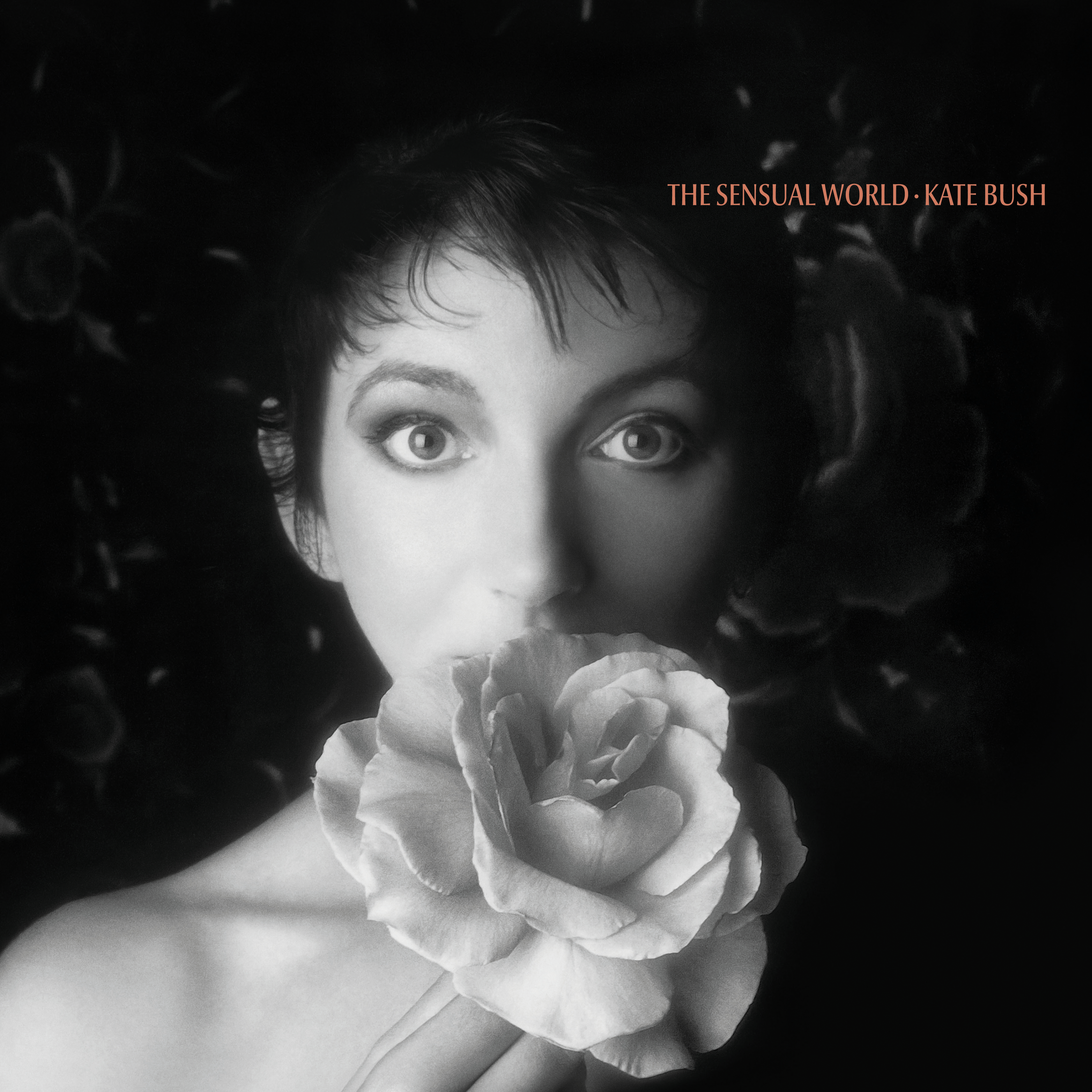 [图]This Woman's Work - Kate Bush