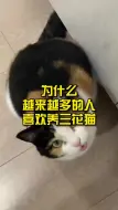 Download Video: 为什么越来越多的人喜欢养三花猫