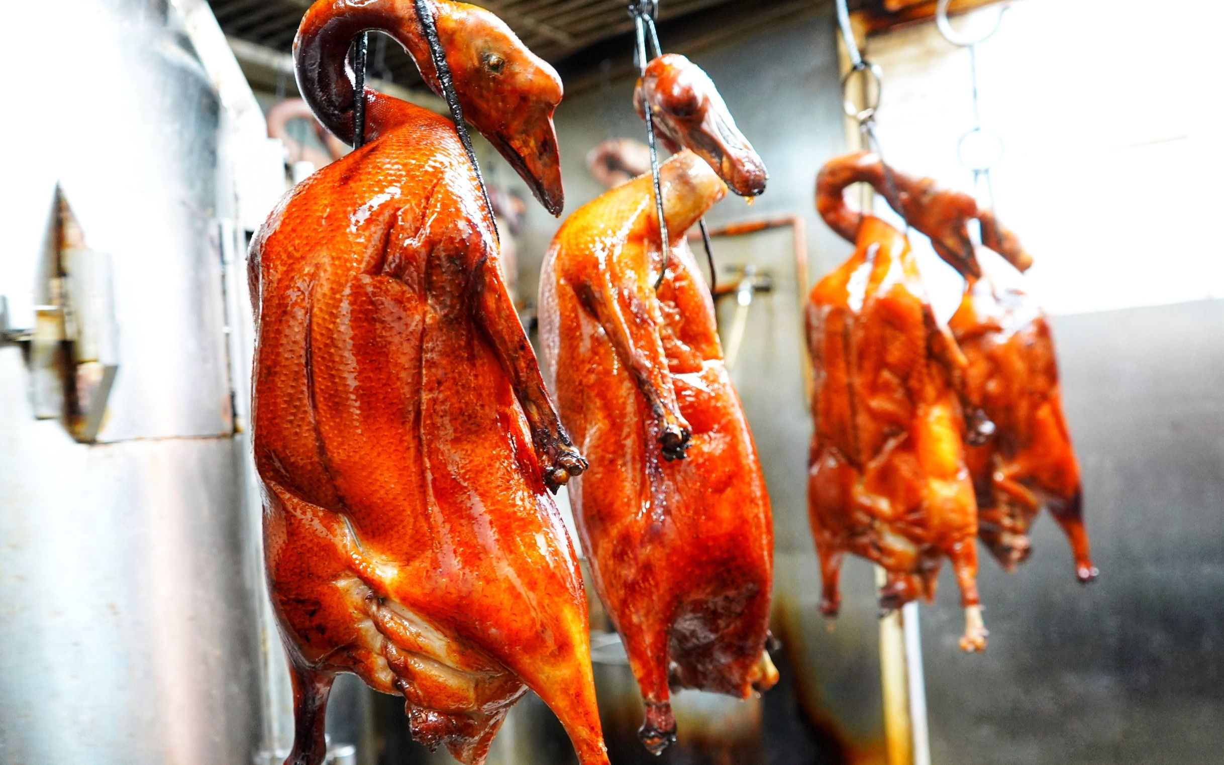 香港原创观塘【肥美靓烧鹅】琵琶鸭 正到流油 热辣辣出晒烟 无比新鲜