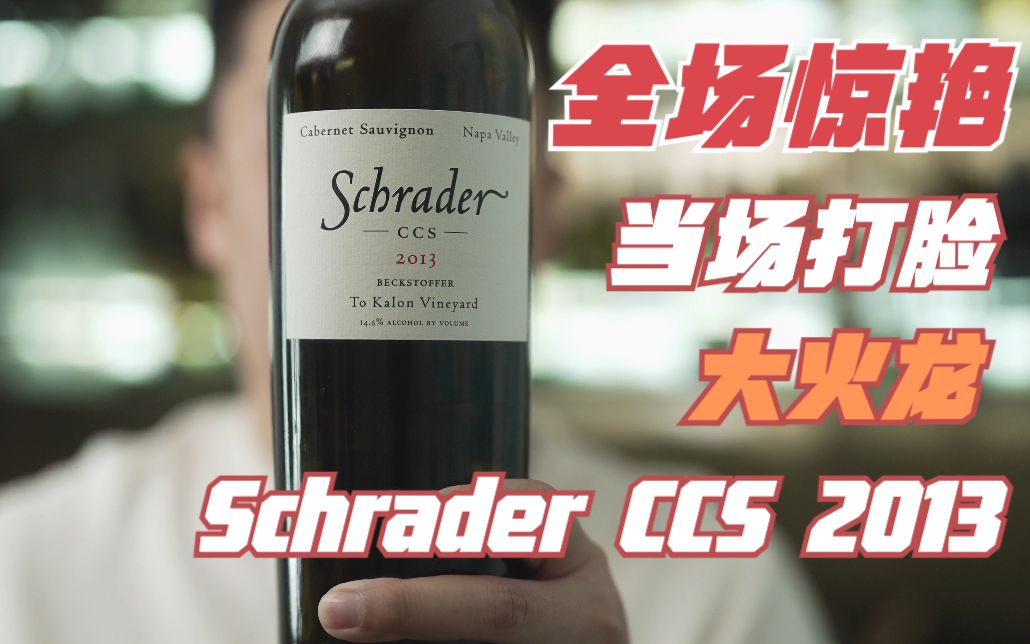 全场惊艳当场打脸大火龙Schrader CCS 2013哔哩哔哩bilibili