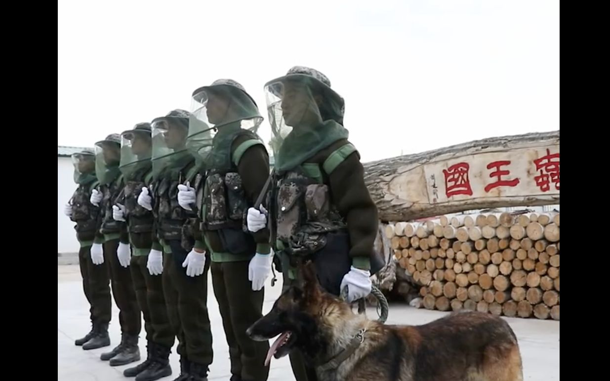 新疆阿勒泰军分区北湾边防战士起床第一件事是倒蚊虫