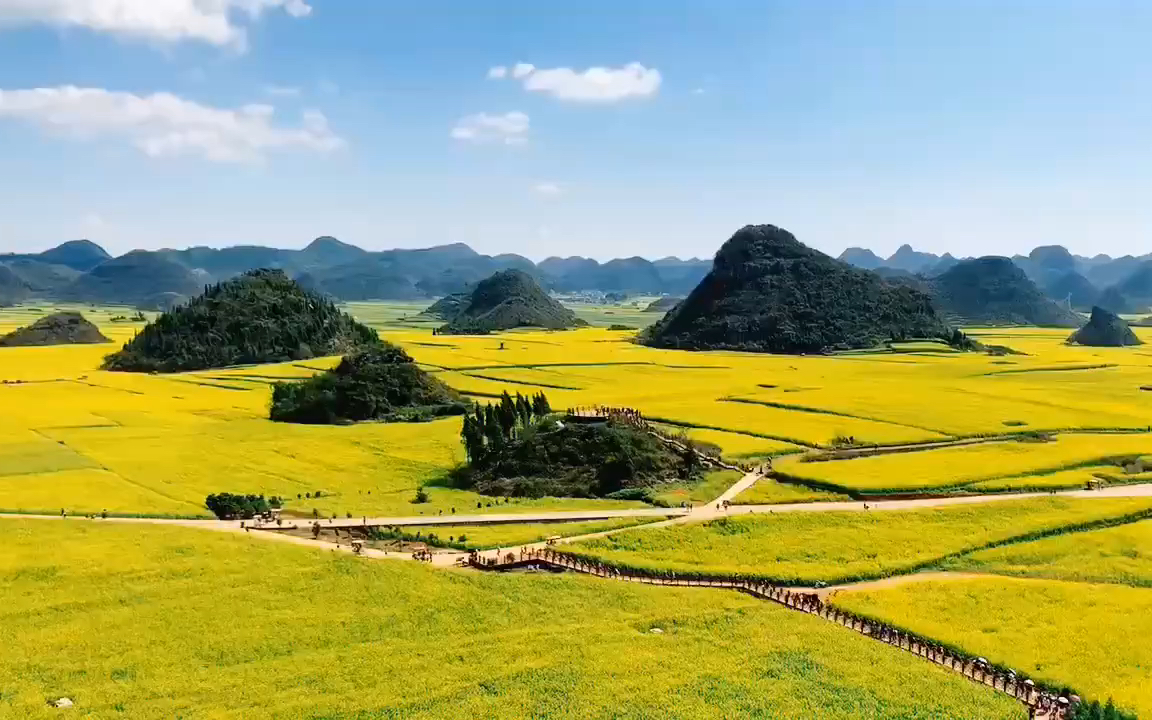 美丽罗平魅力东方花园油菜花海