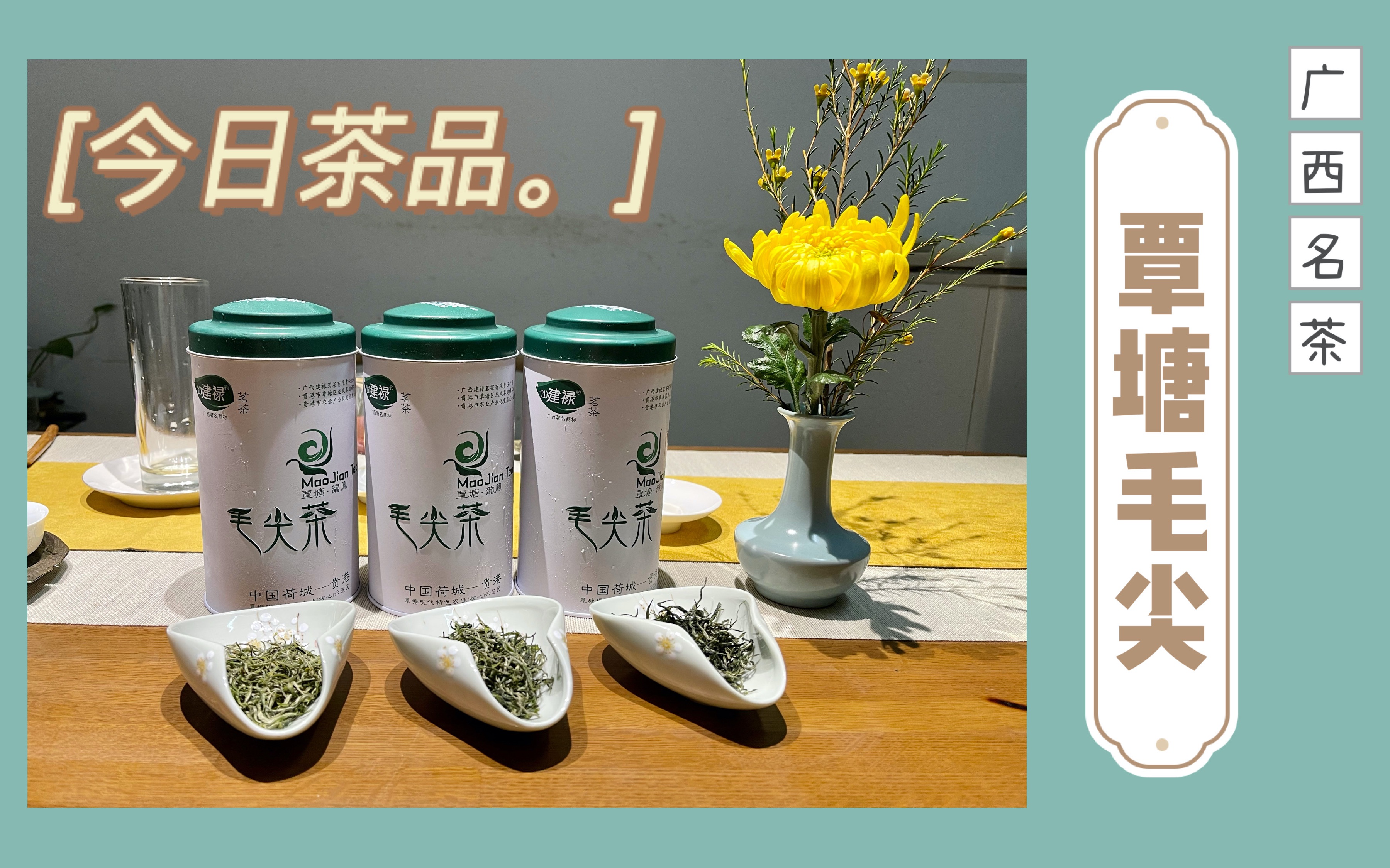 覃塘毛尖茶每500克售价图片