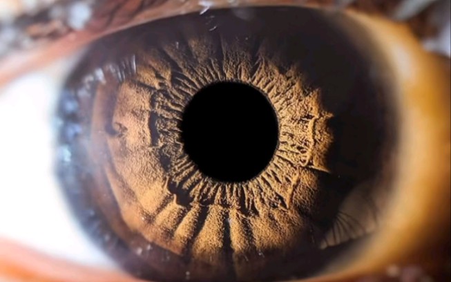 『4k系列』(艺术收藏)带你近距离感受人类瞳孔的震撼7815-跃动
