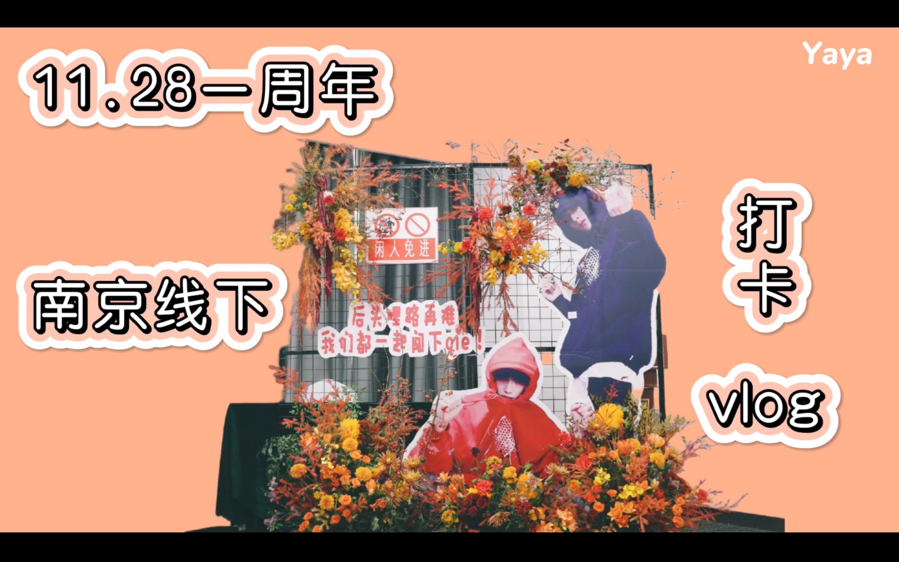 【文鑫】vlog | 11.28南京打卡哔哩哔哩bilibili