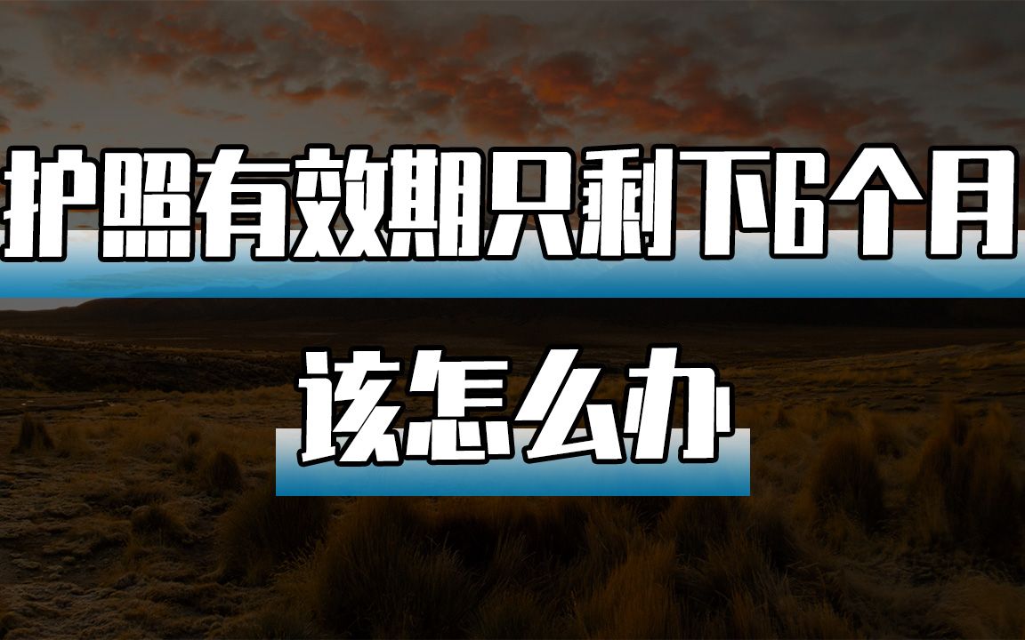 护照有效期只剩下6个月 该怎么办哔哩哔哩bilibili