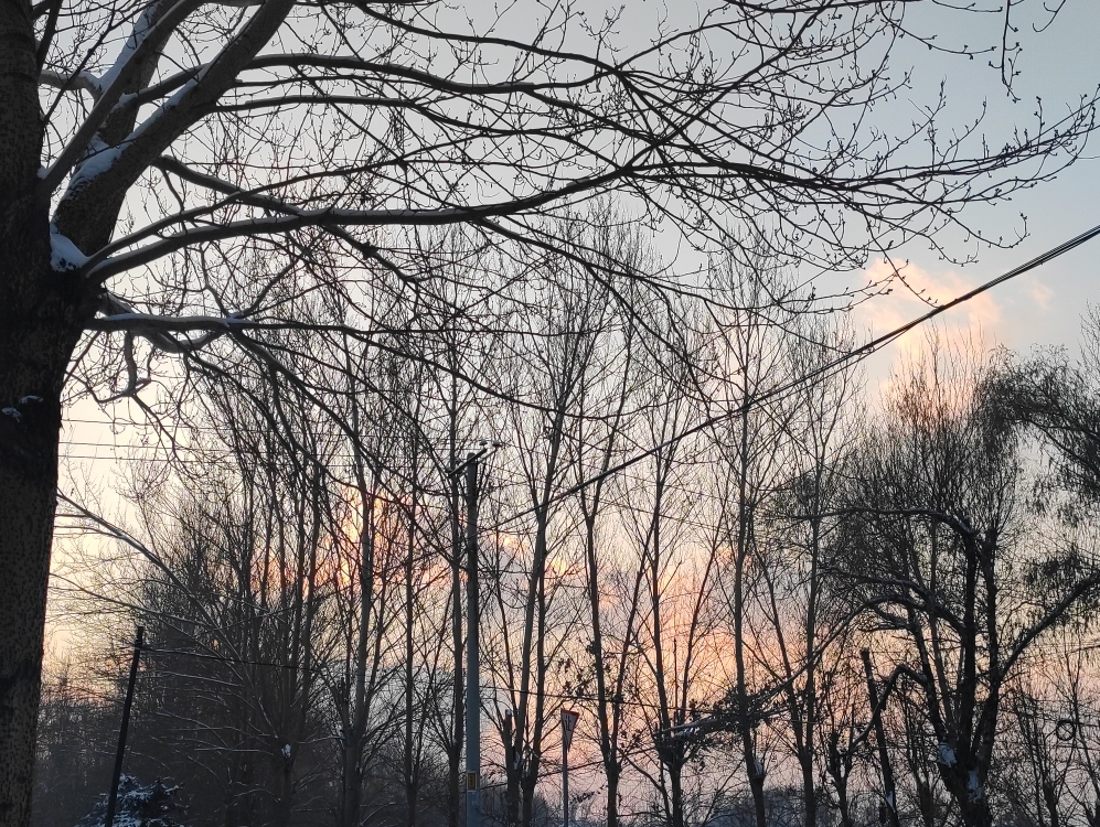 随手拍:冬日暮色