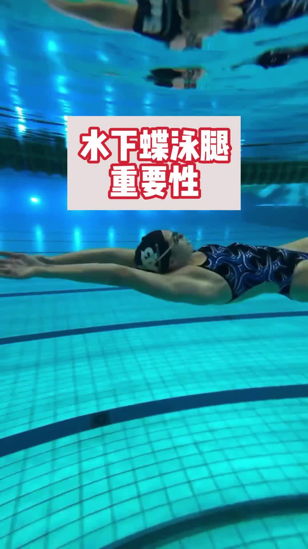 水下蝶泳腿对于提高游泳水平的重要性哔哩哔哩bilibili