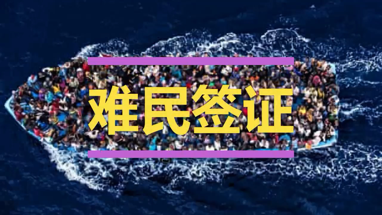 澳洲移民法系列难民签证 2022年2月3日王刚律师就难民签证的申请条件做了相关说明,谢谢您的收看,敬请关注、订阅、转发我们的普法视频!哔哩哔哩...