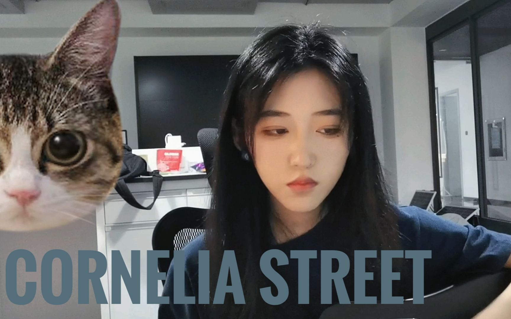 【cover】cornelia street哔哩哔哩bilibili