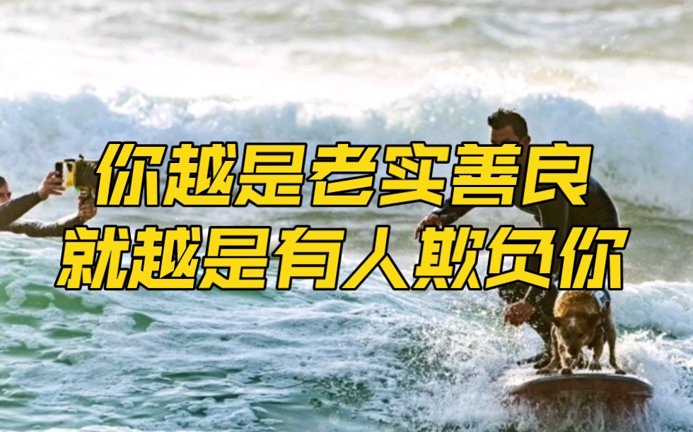 第79集|你越是老实善良就越是有人欺负你