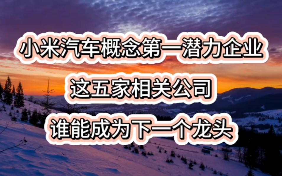 雷军宣布!小米汽车概念第一潜力!5家公司谁能成为下一个龙头!哔哩哔哩bilibili