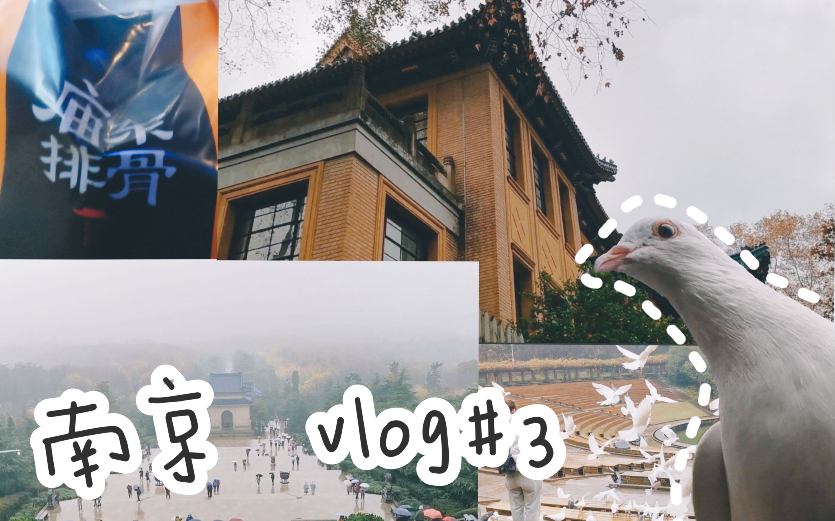 【南京VLOG】vlo.3 钟山风景区 | 中山陵,美龄宫,明孝陵,灵谷寺哔哩哔哩bilibili