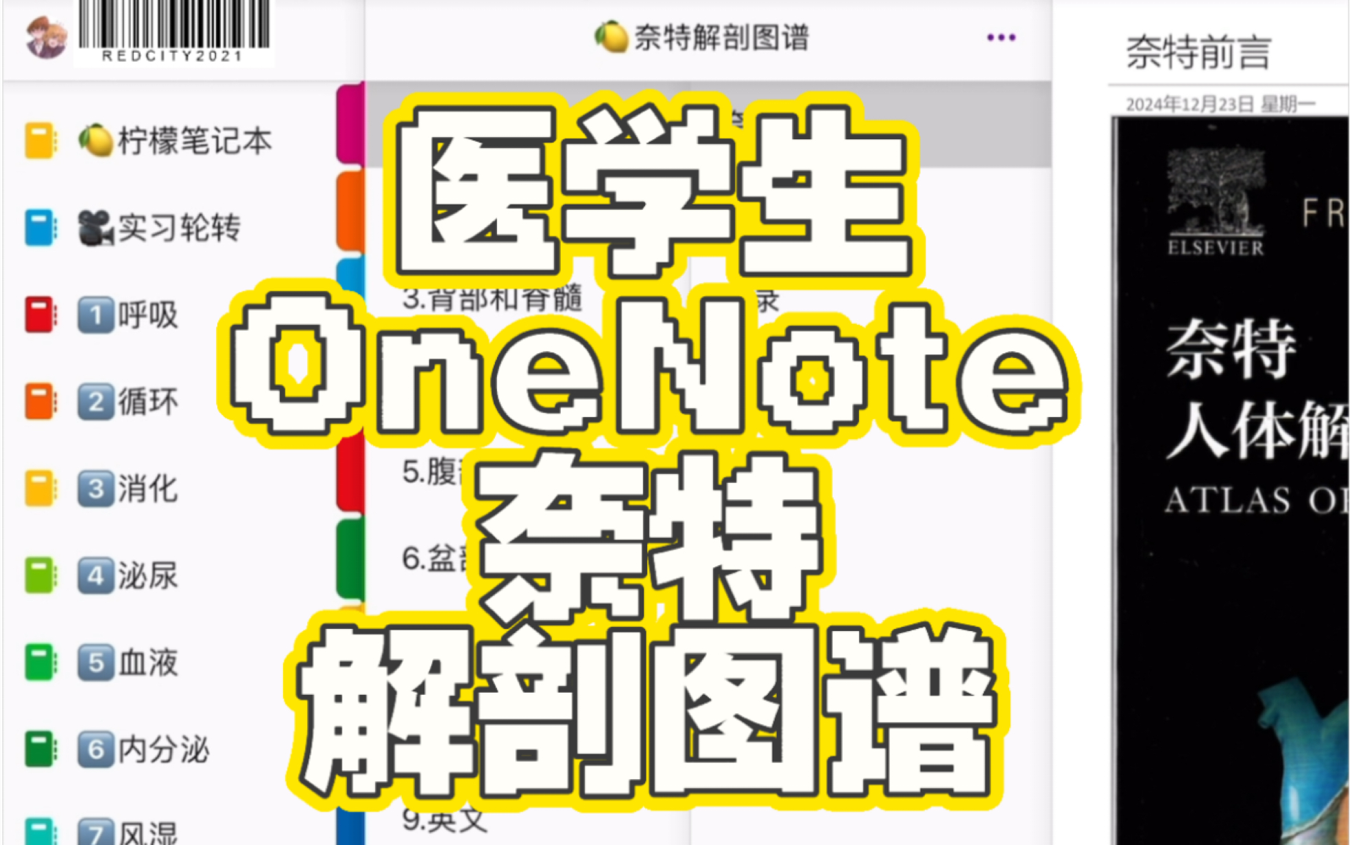 关注免费获得|OneNote版奈特图谱哔哩哔哩bilibili