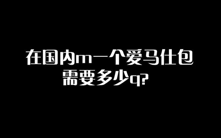 在国内买一只爱马仕到底要多少钱?哔哩哔哩bilibili