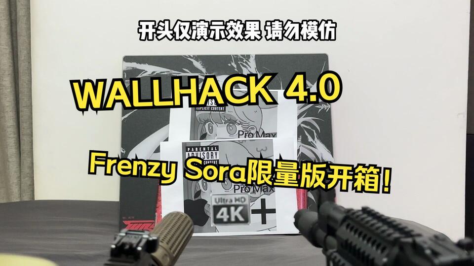 WALLHACK SP-004 限定版 Frenzy Sora No.0105（开箱WALLHACK4.0