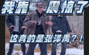 Descargar video: 【张泽禹】张泽禹什么时候舞蹈这么好了？我还以为是舞担呢？！！！！