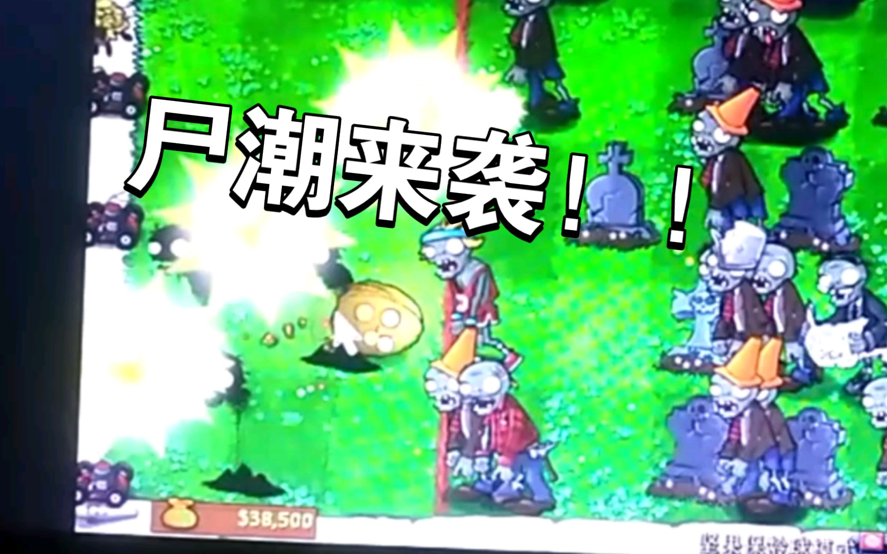 [图]【PVZ】95版pvz的坚果保龄球模式有多难？？？ -单机游戏