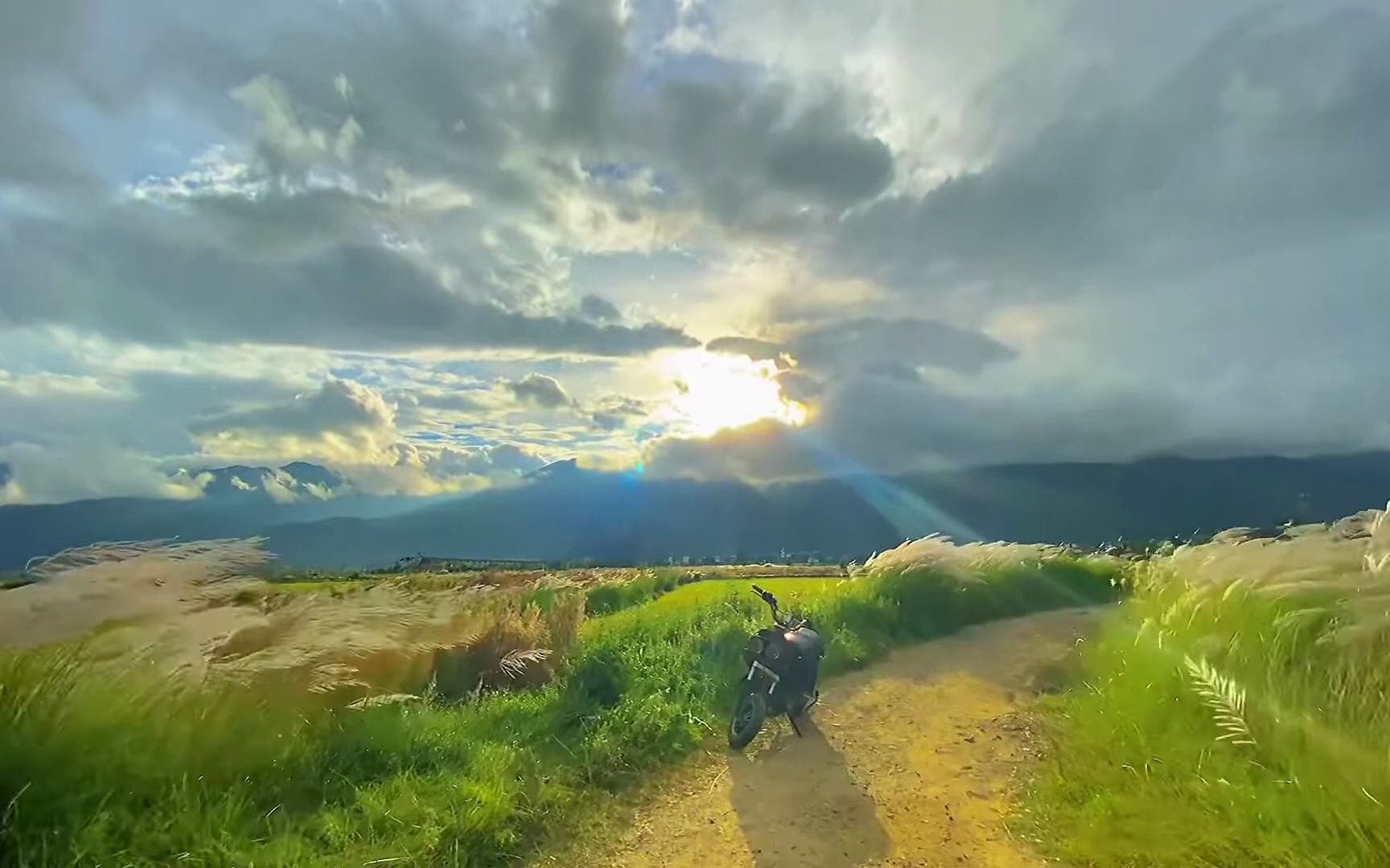 下午 治愈系风景