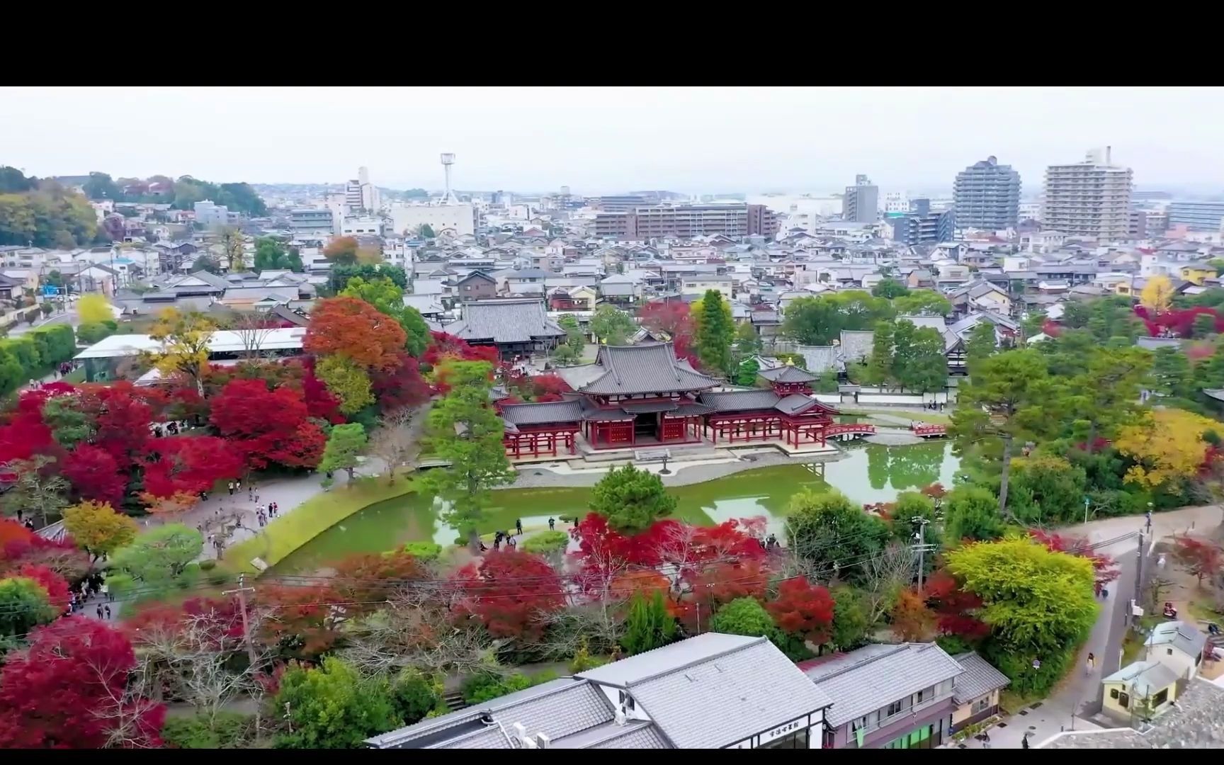 叶子睿 青苹果乐园 伴奏 立体声 中国新声代