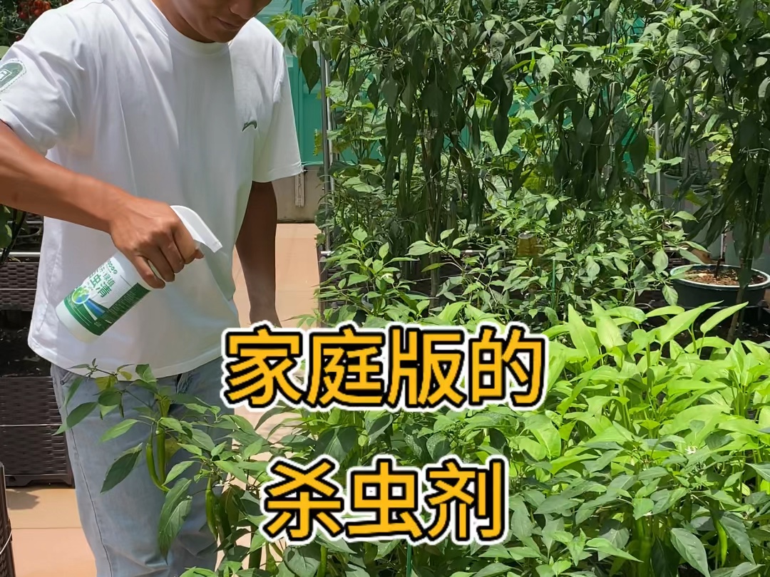 百虫青杀虫面很广,一般常见的蔬菜花卉害虫都可以杀,效果好价格还不贵!#病虫害防治 #在家种菜哔哩哔哩bilibili