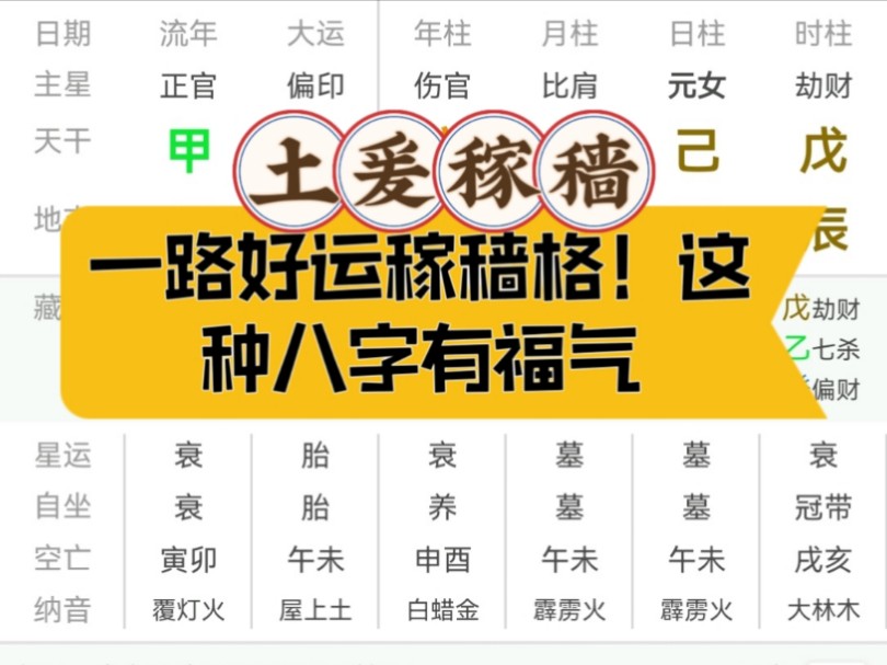 一路好运专旺格!有福气的八字哔哩哔哩bilibili