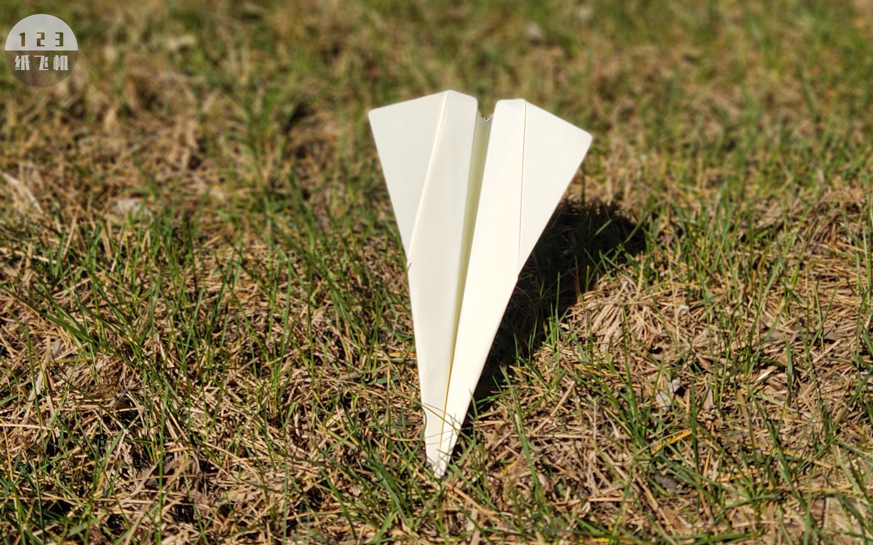 钻地神器金翼p标枪式纸飞机_哔哩哔哩_bilibili