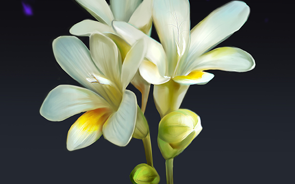 板绘过程植物厚涂技法怎么练习看完了才知道原来如此