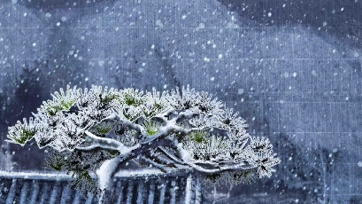 [图]小雪｜不辞山路远，踏雪也相过。