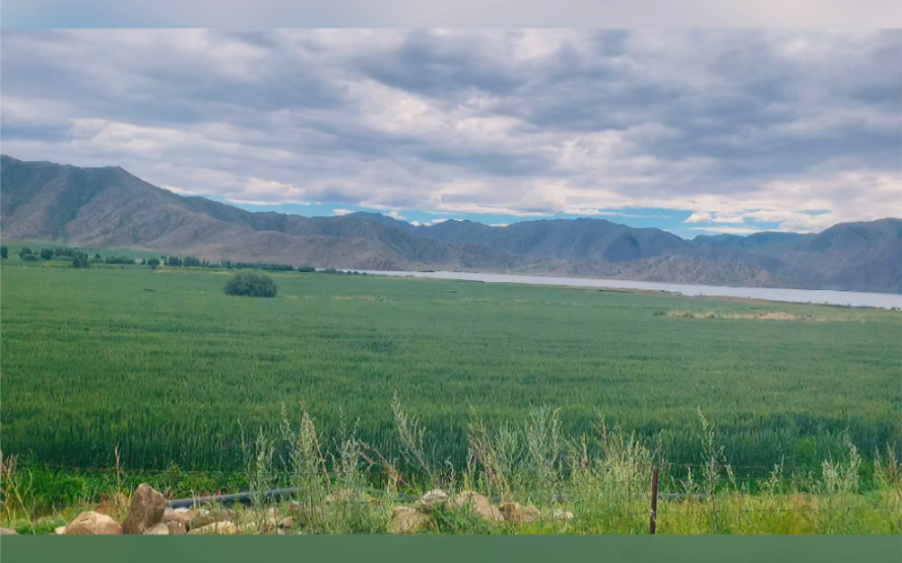 雨后天气凉爽,出去溜达一下
