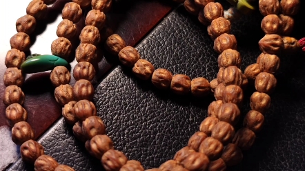 这条麻子鬼百香籽有点要红的意思了