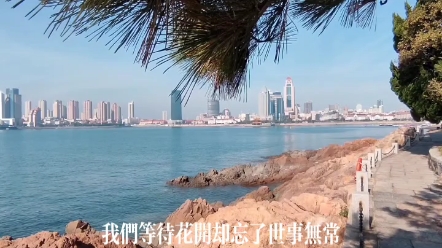 小青岛公园哔哩哔哩bilibili