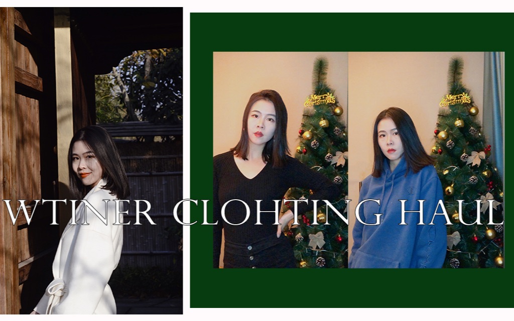 WINTER CLOTHING HAUL |冬季服饰购物分享(mango、zara、Champion、frame、theory)哔哩哔哩bilibili