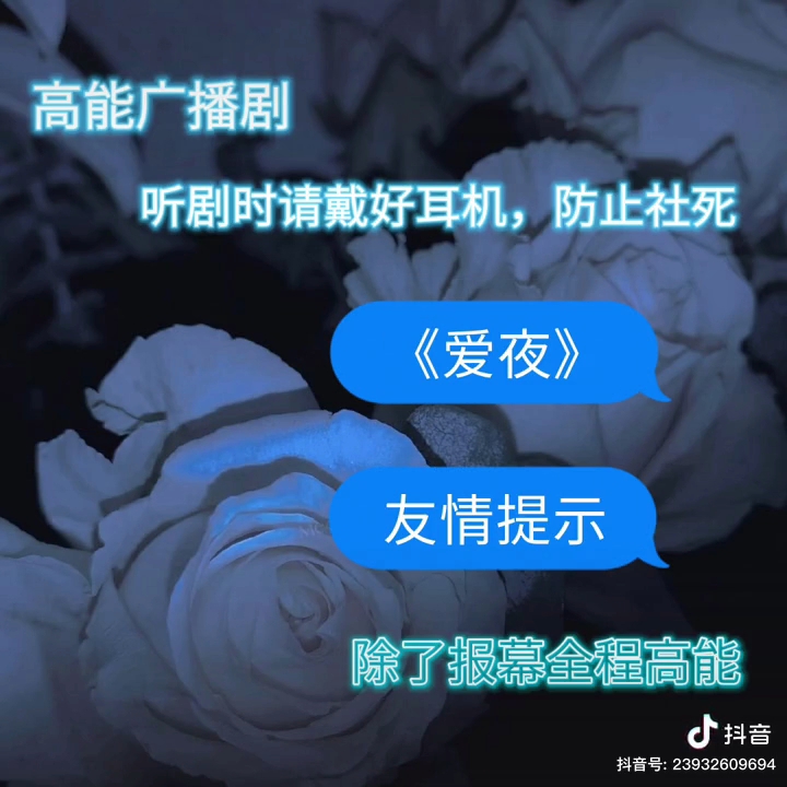 爱夜 高能剧哔哩哔哩bilibili